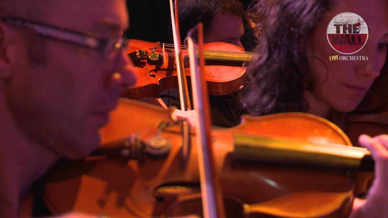 When the tigers broke free