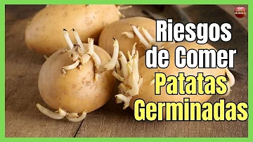 ¿Cómo evitar los brotes de las patatas?