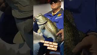 Celebrity How many Bill Dance shows have you watched?? Wealth