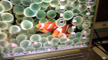 Low End Radio Equipment Setup!