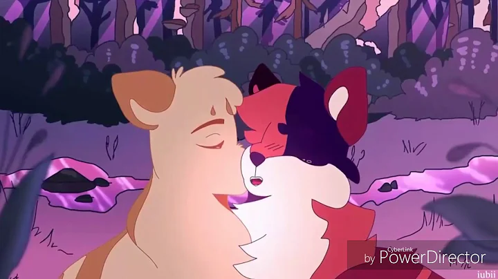 Amv-lgdc Ombre d'érable