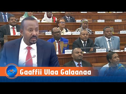 Gaaffiin Galaana Diimaa Seera Seenaa Teessuma Lafaafi Diinagdee Bu Uureffata Dr Abiyyi