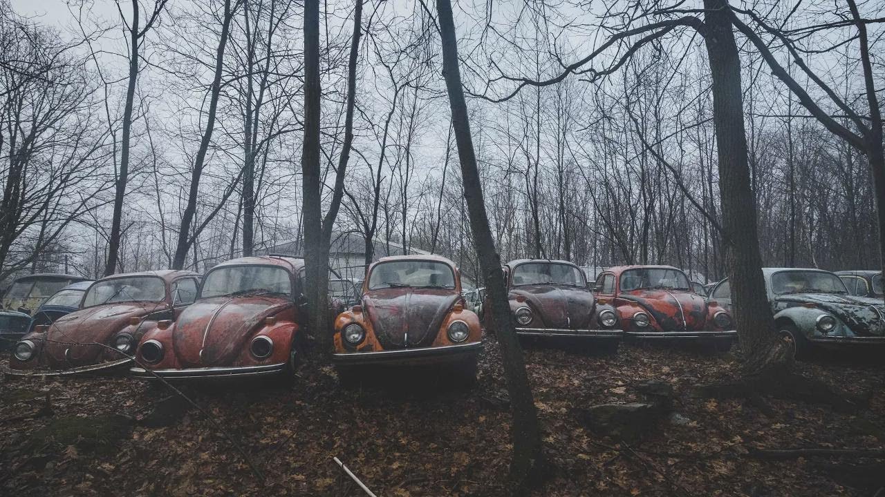 Seltene VW-Käfer-Ruine entdeckt: Das vergessene Paradies in den USA!