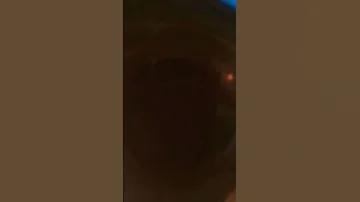 سيب اللي يقول يقول مش ماشيه بالاصول اجمد حاله ممكن تسمعها سيف مجدي 