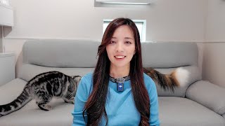 のりこま様 We Have Been Blessed With a New Life! - YouTube
