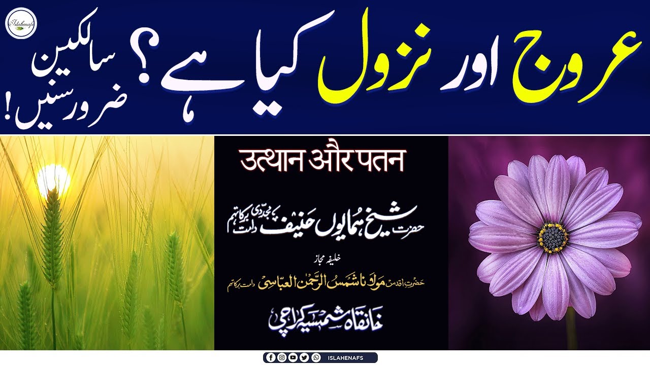 Tasawwuf main Urooj aur Nuzool | Sufi Naqshbandi | Sufism | Shaykh Humayun Hanif Naqshbandi DB