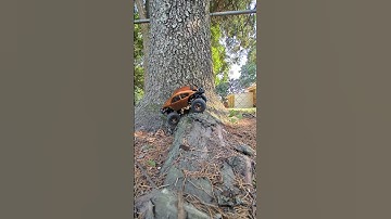 #shorts #trending #trendingnow #axial #scx24 #rcoffoad #rccrawler #injora #rctruck #rc #rccar