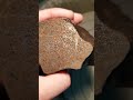 Meteorite Ordinary Chondrite H5 NWA Xxx