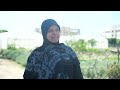 مبادرة "بذور صور".. خطوة لتعزيز الأمن الغذائي لمزارعي جنوب لبنان