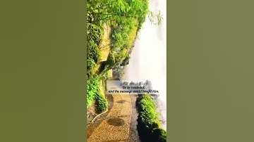 سورة عبس من الآية (١) إلي الآية (١٠) بصوت القارئ إسلام صبحي