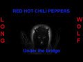 Red hot chili peppers - Under the bridge - Extended Wolf