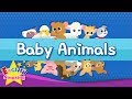 Kids vocabulary  baby animals  learn english for kids  english educational