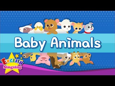 어린이 어휘 - 아기 동물 - 아이들을 위한 영어 배우기 - 영어 교육 비디오