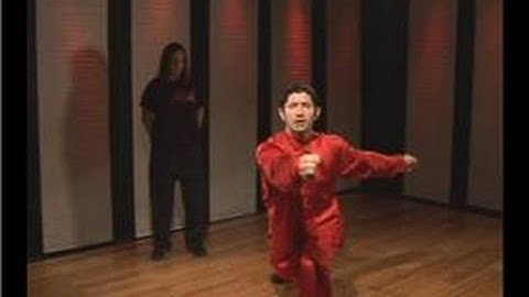 Kung Fu : Tan Tui Forearm Block Reverse Punch