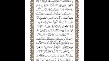 الوجه 166 من القرآن مكرر ١٠ مرات مع الآيات | سورة الأعراف | الشيخ خليفة الطنيجي