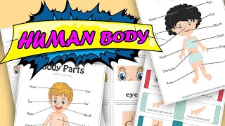 Human Body Song | FunKiddzTV