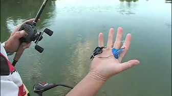 True Bass - Clear Lake - Bass Fishing