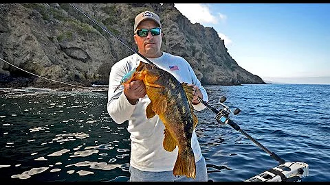 Choosing the Right Crankbait Tackle for Saltwater Bass