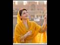 Pak Celebities celebrated Basant Like that #lahorebasant