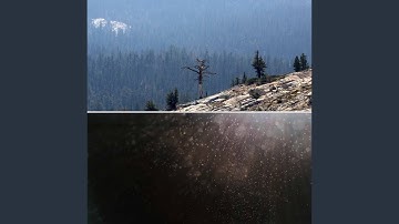 Pulsating Winter Storms