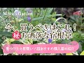 【見つけたら即買い!おすすめ秋植え宿根草】おしゃれな購入苗の紹介・秋の庭づくり|ナチュラルガーデン