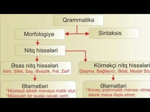 Video: Nitq yazısında məlumat mənbəyi nədir?