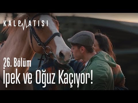 İpek ve Oğuz kaçıyor! - Kalp Atışı 26. Bölüm