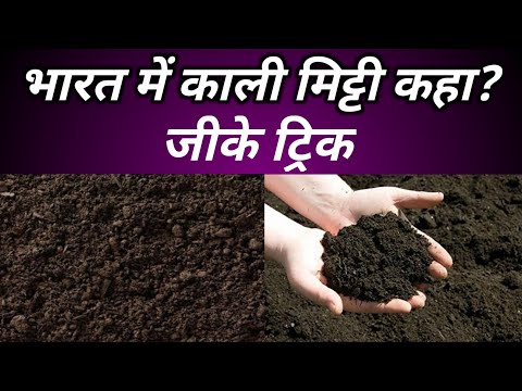वीडियो: भारत में काली मिट्टी कहाँ पाई जाती है?