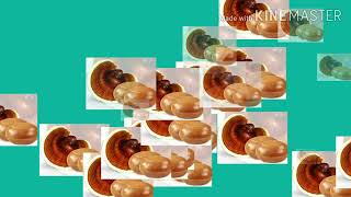 DXN GANOZHI SHOP एक क्रांतिकारी शोप है स्किन की देखभाल में 100% खरा उतरता है September 9, 2020 screenshot 4