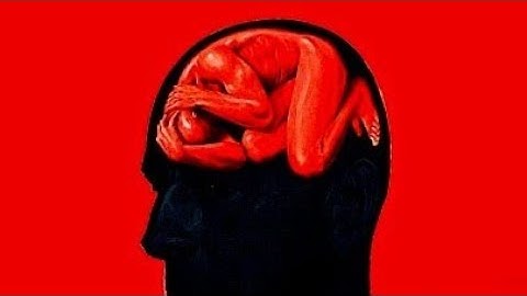 "How to Control Your Brain (Before It’s TOO Late)"