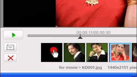 How To Create Movie with photos / Images In Picasa 3