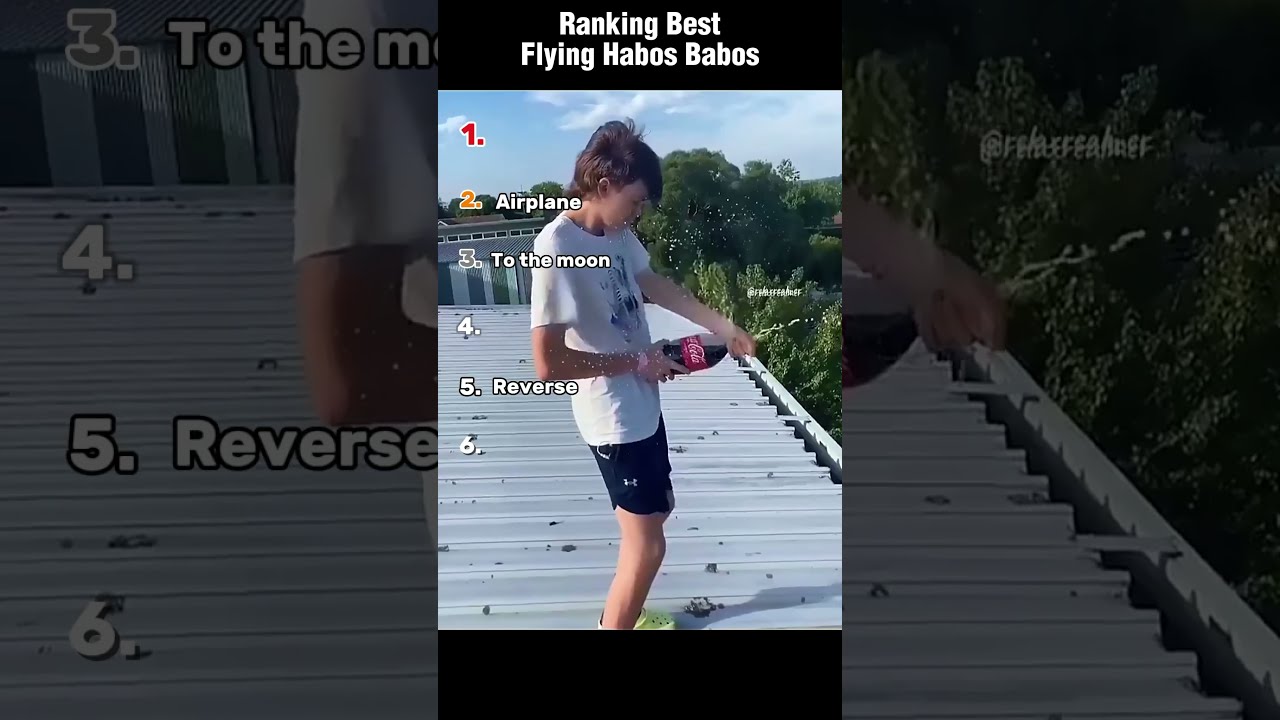Ranking The Best Flying Habos Babos