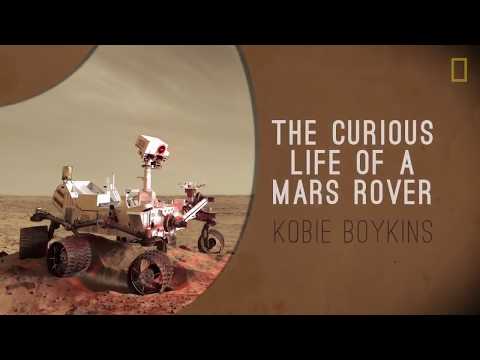 The Curious Life