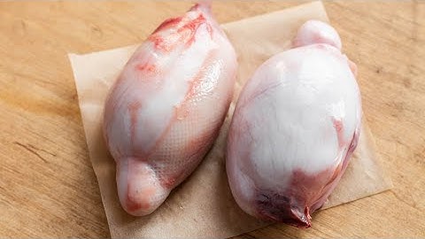 How to Clean Rocky Mountain Oytsers (Lamb Fries / Testicles)
