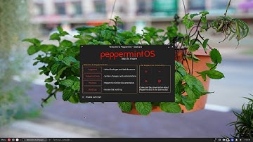 TambuchaLinux 08 - PeppermintOS