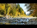 Native American Flute Music #7 - Relaxing Music, Meditation Music, Sleep Music