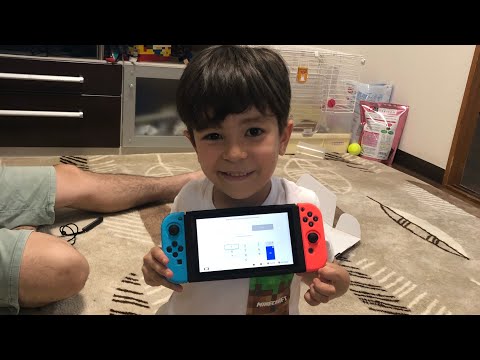 Video: Nintendo Switch-lek Onthult Mogelijke Gastlogins, Opgeslagen Gegevensoverdrachten