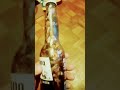 Coronaextra Birracorona Shortpio Shorts Shortsvideo Short Shortsfeed Shortsyoutube Birra Coronaextra Birracorona Shortpio Shorts Shortsvideo Short Shortsfeed Shortsyoutube Birra