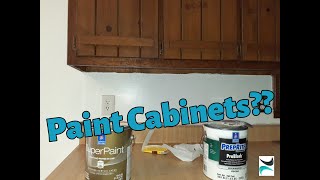 Can I Paint These Brown Cabinets?