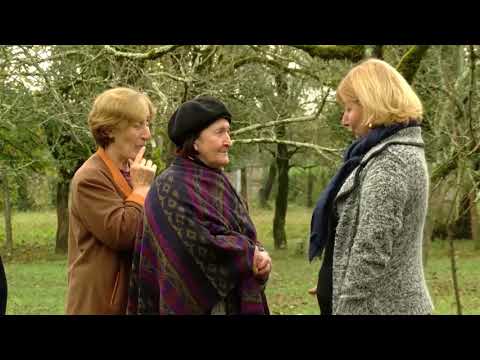 როგორ უნდა ებრძოლოს მოსახლეობა მოზამთრე ფაზაში აზიურ ფაროსანს - „გარბმობილი“ იმერეთში