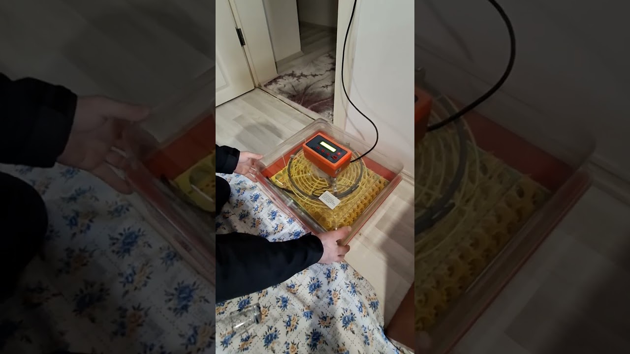 VGS 50 Kuluçka makinası tanıtım ve kurulum .