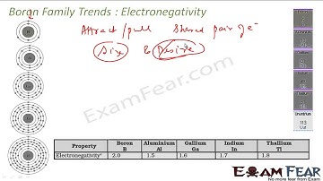 Chemistry P Block Elements part 8 Trends Boron family CBSE class 11 XI