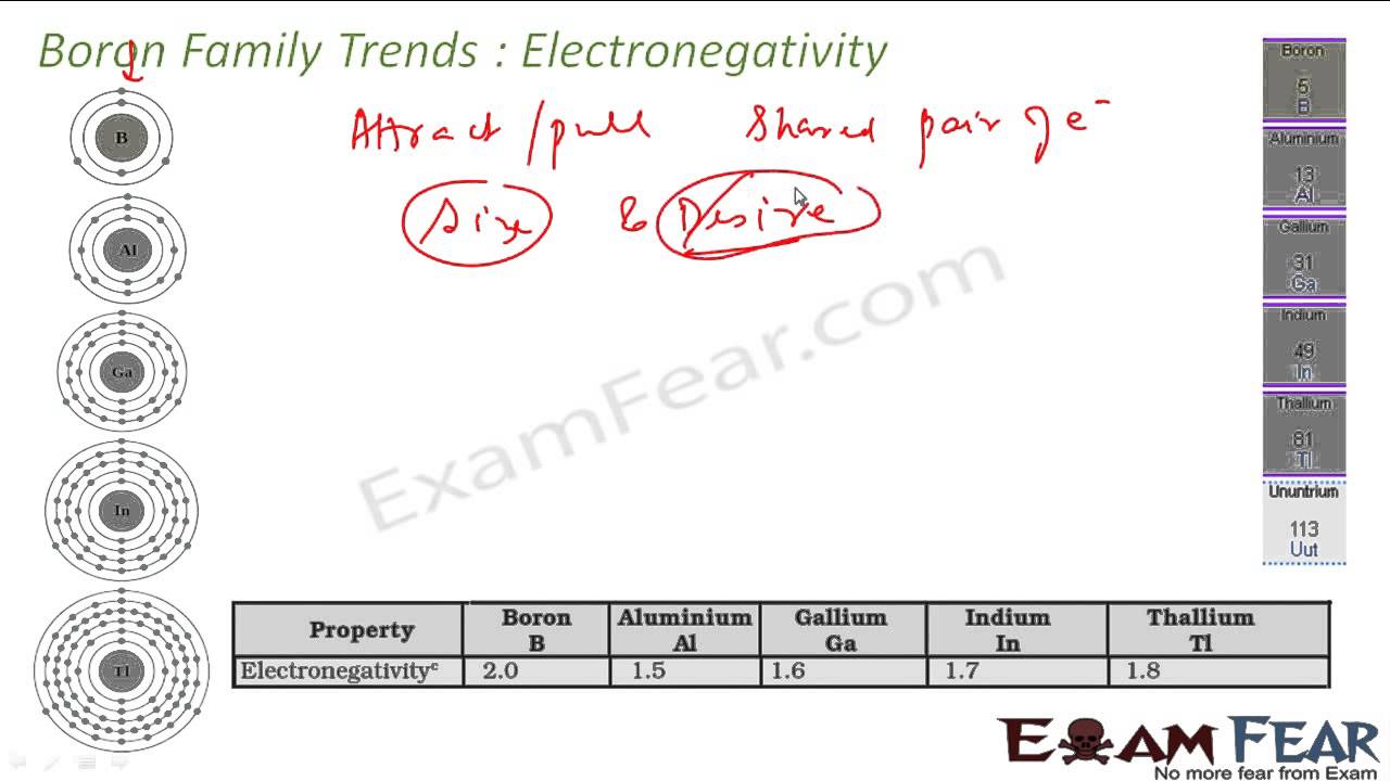 Chemistry P Block Elements part 8 Trends Boron family CBSE class 11 XI
