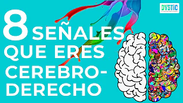 ¿Cómo es una persona de cerebro derecho?