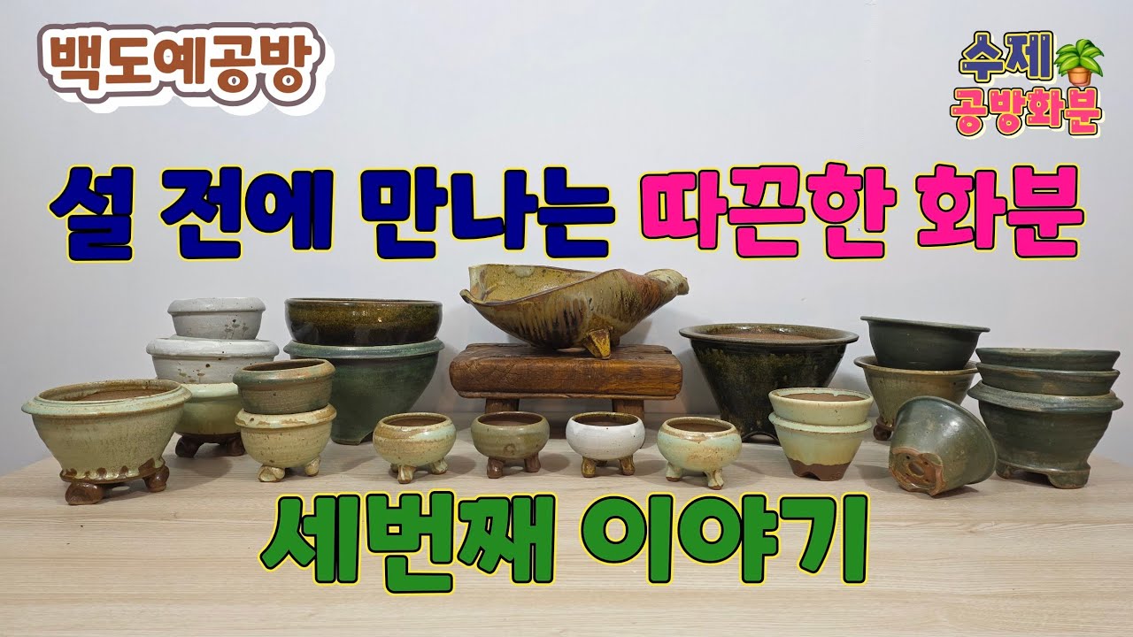 20260213(274회영상)새해맞이 화분준비🪴지금이 딱!🤗#수제화분#공방화분#야생화화분 #다육화분#아프리카식물#선인장#분갈이화분#명품화분#연출화분#고급화분#분갈이#신상화분#도예가