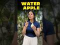 A Fruit with 90% Water Content