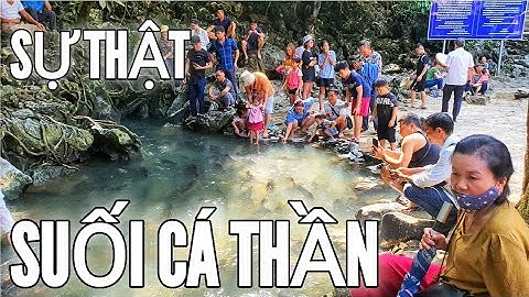 Sự Thật Bò 6 Chân 2 đuôi, Suối Cá Thần Cẩm Lương, Cẩm Thủy Thanh Hóa ít ai biết