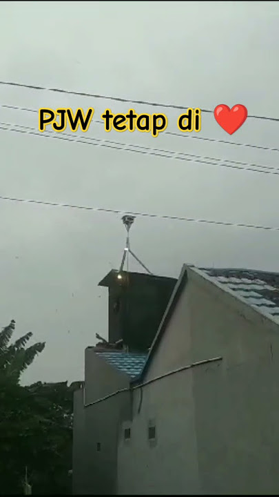 ✅ Apapun bentuknya tetap suara PJW terpasang #pjw #sarangwalet #walet #rbw