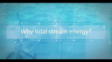 Tidal Insights - Why Tidal Stream Energy?