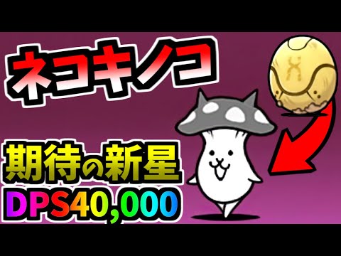 ねこにゃんこページ Mushroom Cat (Amber Egg :N106 TF) - information & testing